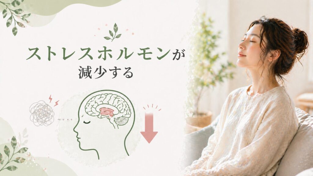 ストレスホルモンが減少する仕組みをイメージした、目を閉じてリラックスする女性と脳のイラスト。